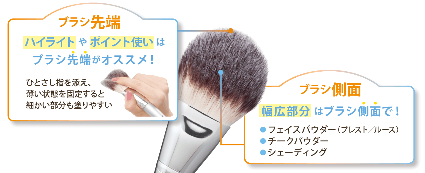 パウダーファンブラシ：商品ラインナップ | ロージーローザ/ROSYROSA