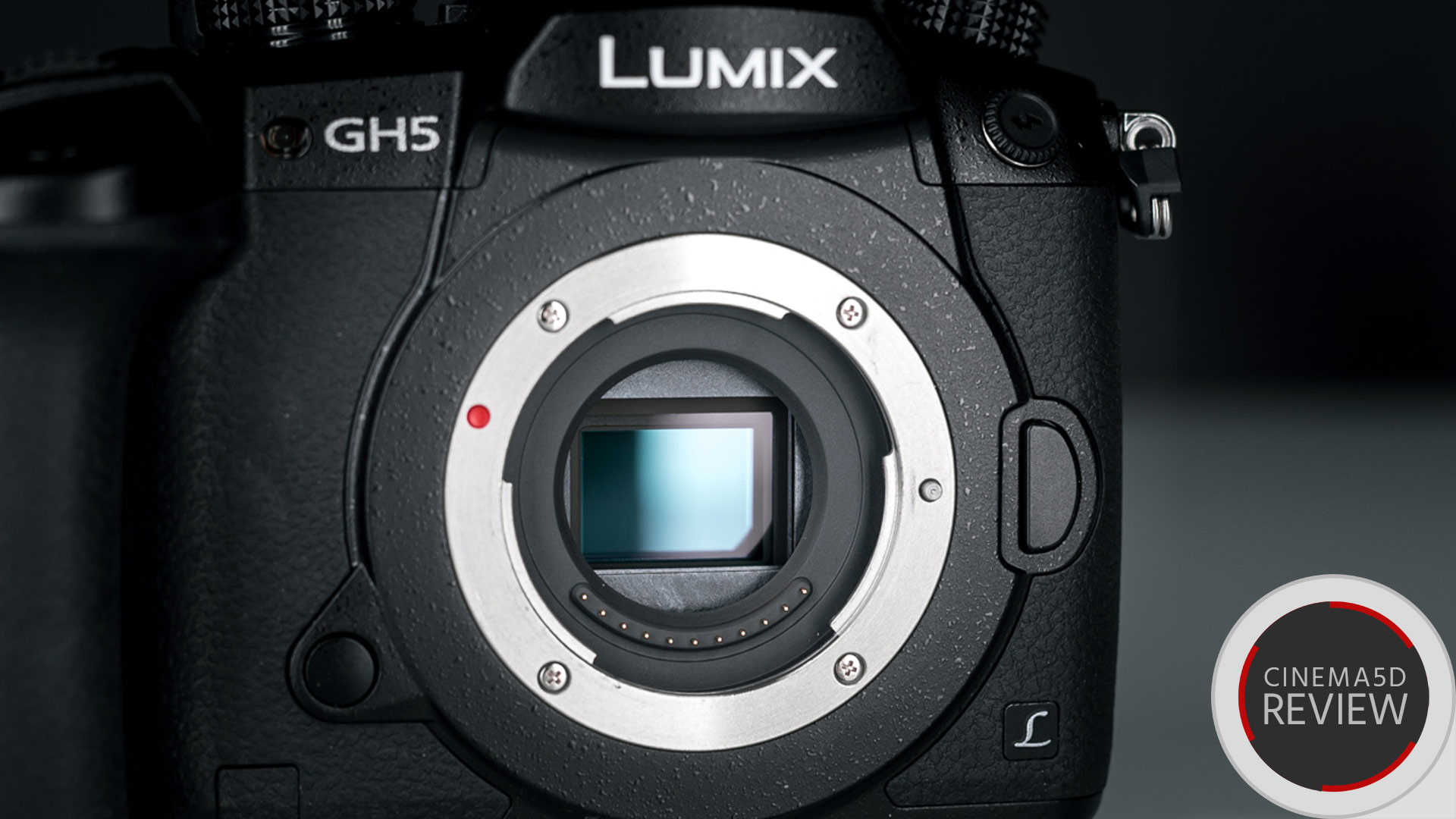 パナソニックGH5レビュー ➖ 10BitとV-logを検証する（更新版） | CineD