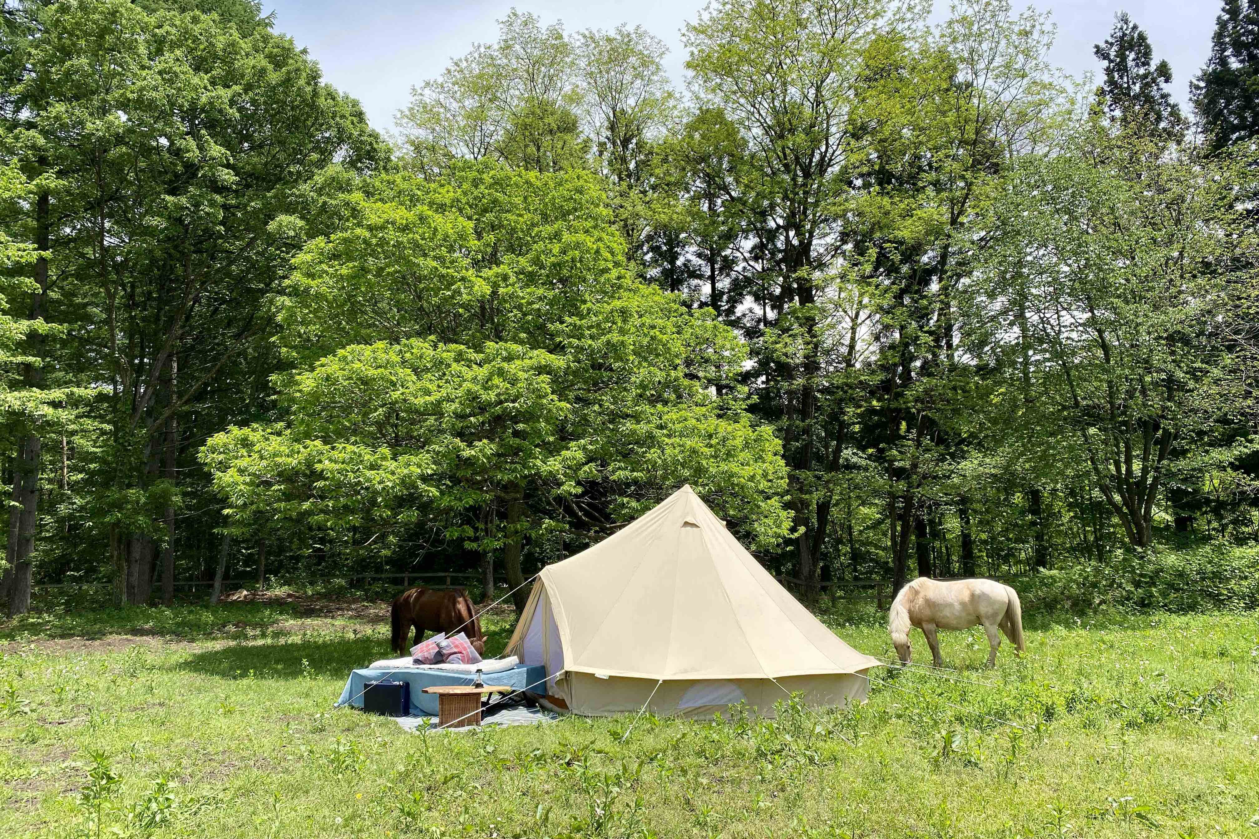 Camping with Soul BELL TENT 450