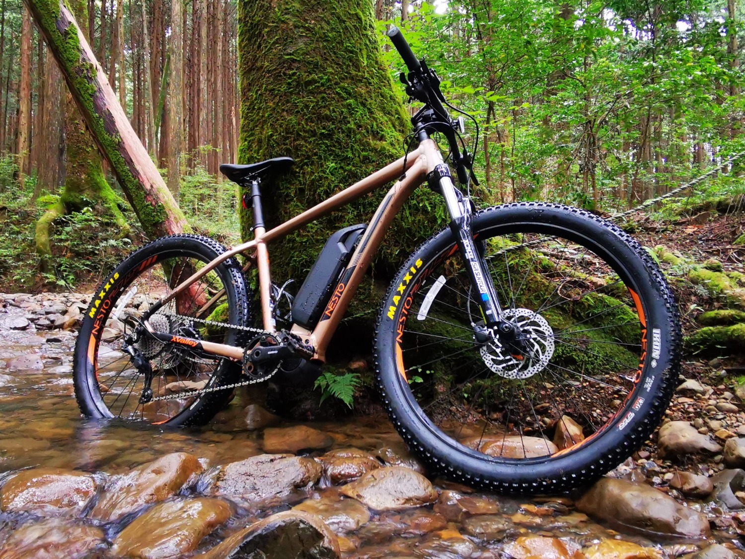20万円台の貴重なMTBタイプのE-Bike「NESTO X-VALLEY E6180」を
