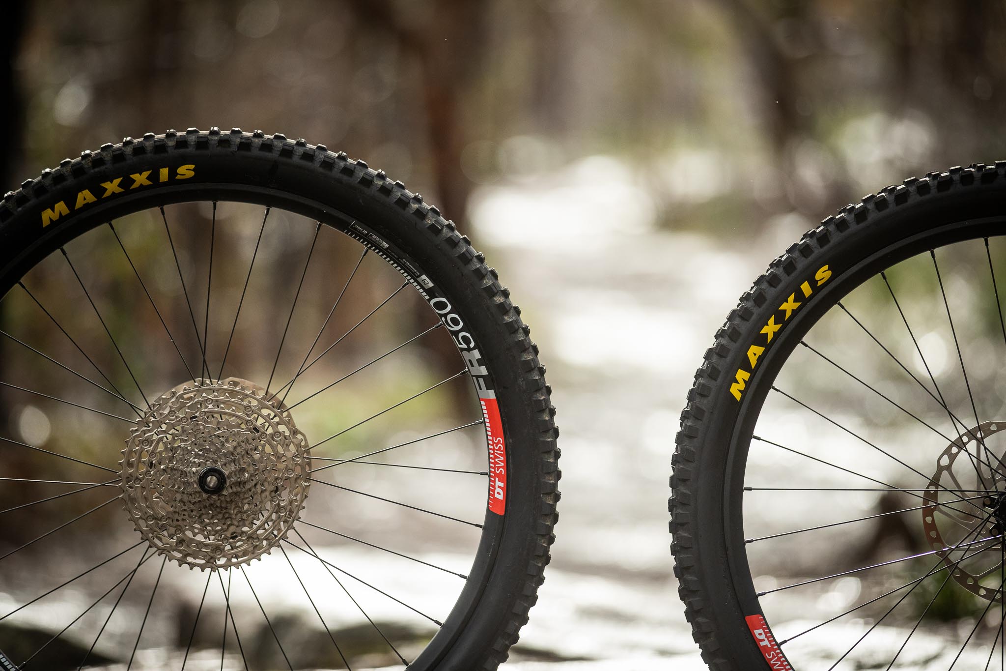 mtbが好きな人です！ DT SWISS FR560 mtbが好きな人です！ DT SWISS