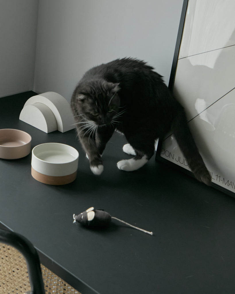 おもちゃ ｜ 猫の本能をくすぐる、上質素材のキャットトイ【&CAT公式