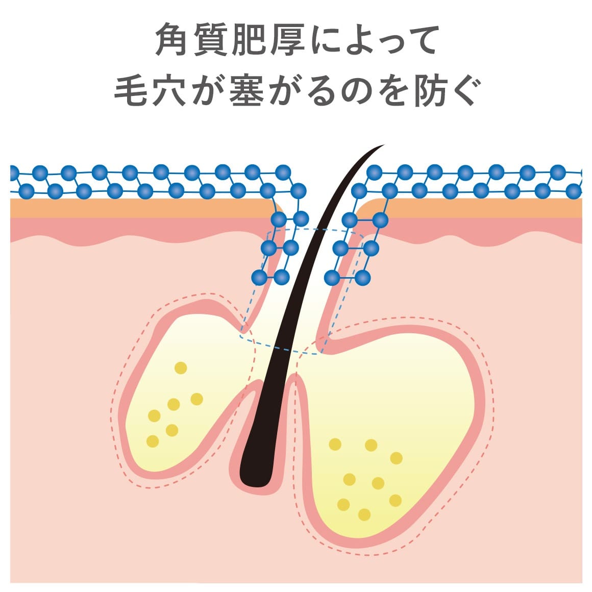 イプノス シーバムクリア リペアセラム ＜医薬部外品＞(50g): 全製品