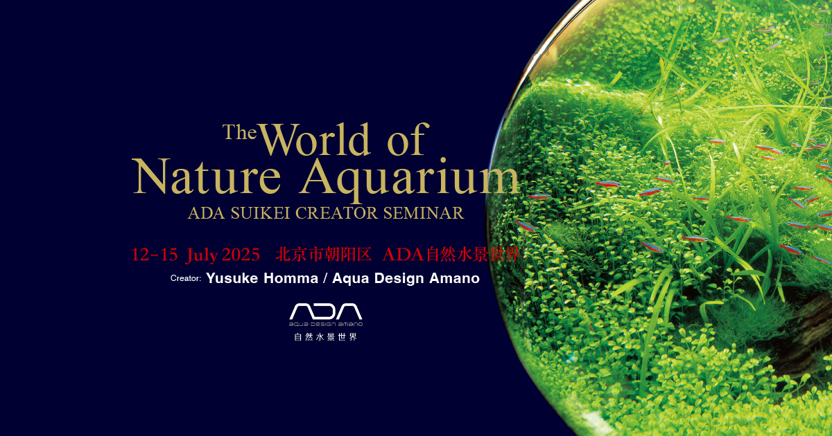 中国の北京「ADA自然水景世界」にて「The World of Nature Aquarium