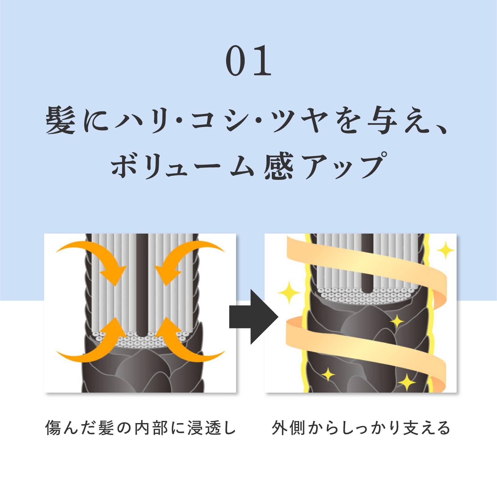ヘアリプロ 薬用スカルプシャンプーEX(オイリー) Mサロン品質の育毛