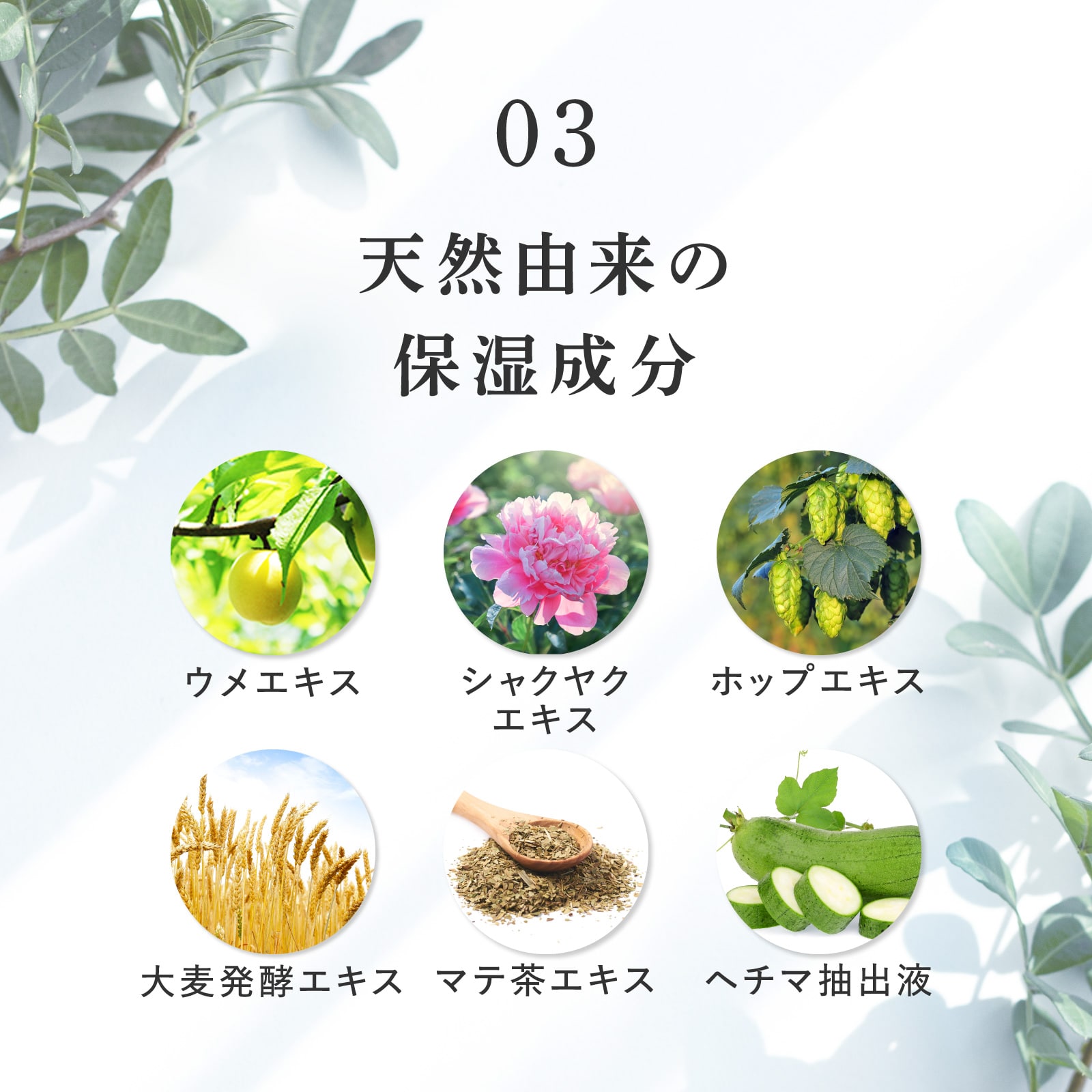 ヘアリプロ 薬用スカルプシャンプーEX(オイリー) Mサロン品質の育毛