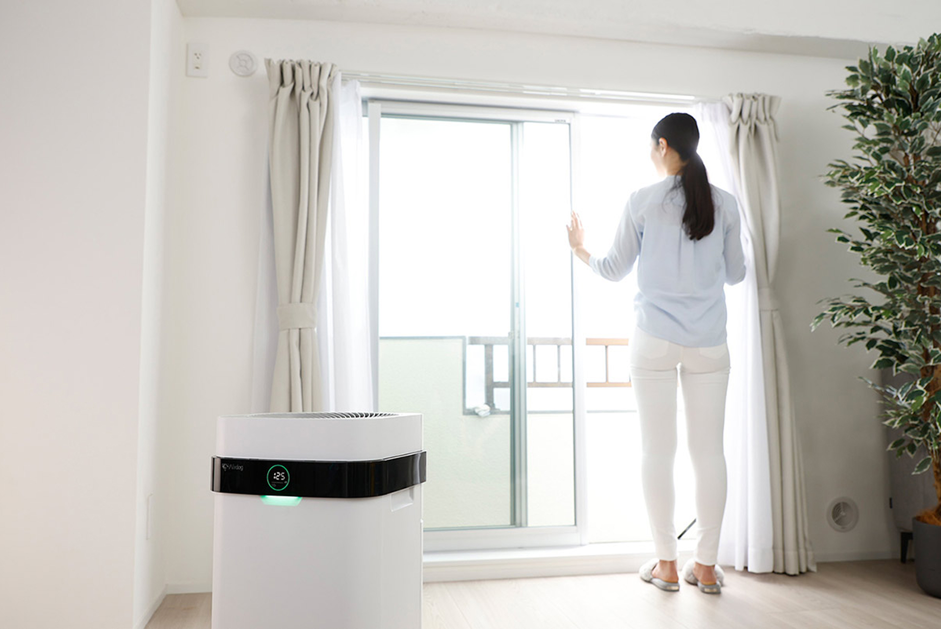 公式】Airdog | Airdog X5D｜ホワイト(H65×D30.6×W31.6㎝ ホワイト