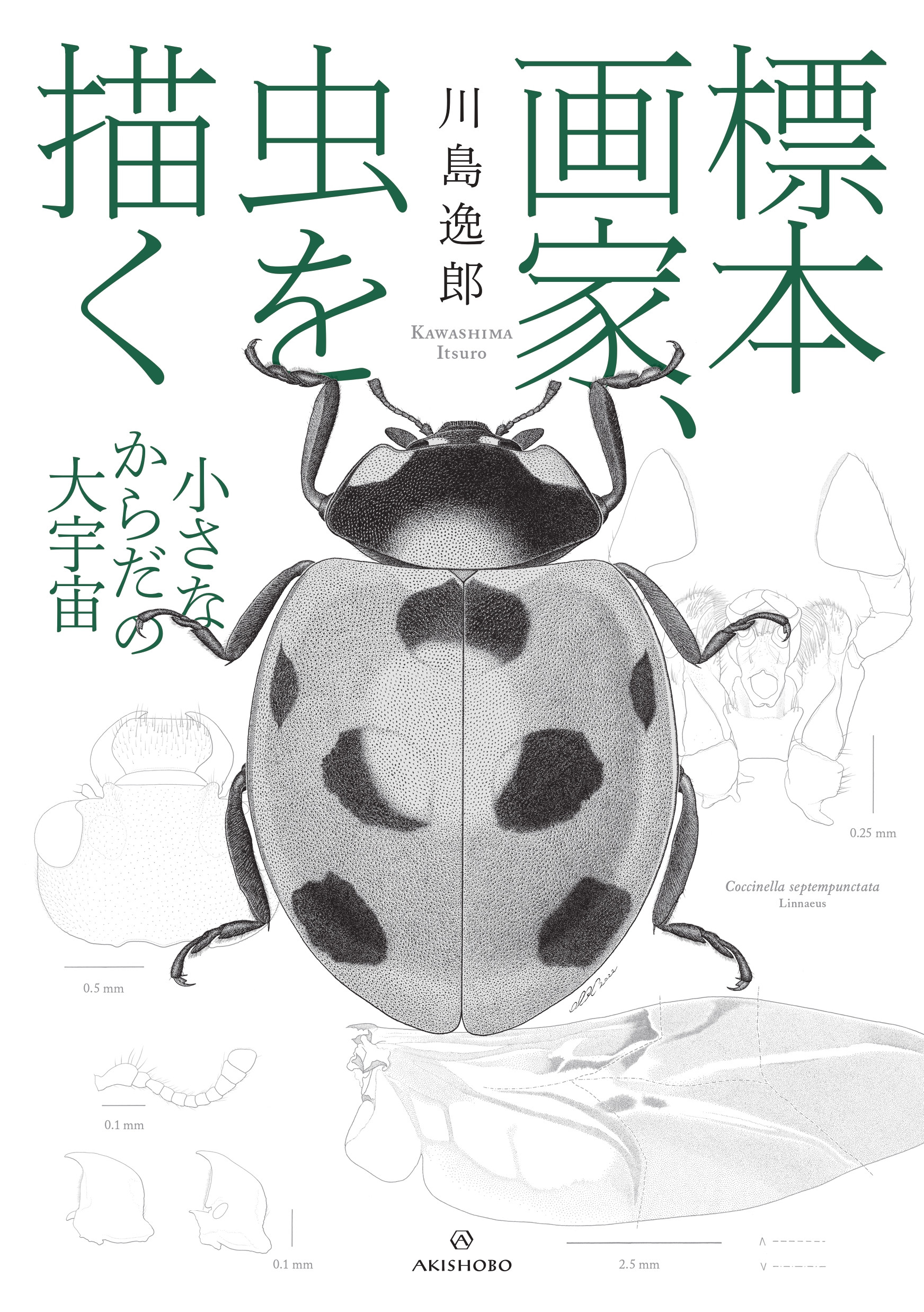 亜紀書房 - 標本画家、虫を描く 小さなからだの大宇宙