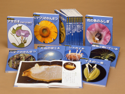 新装版】科学のアルバム(植物編) - あかね書房