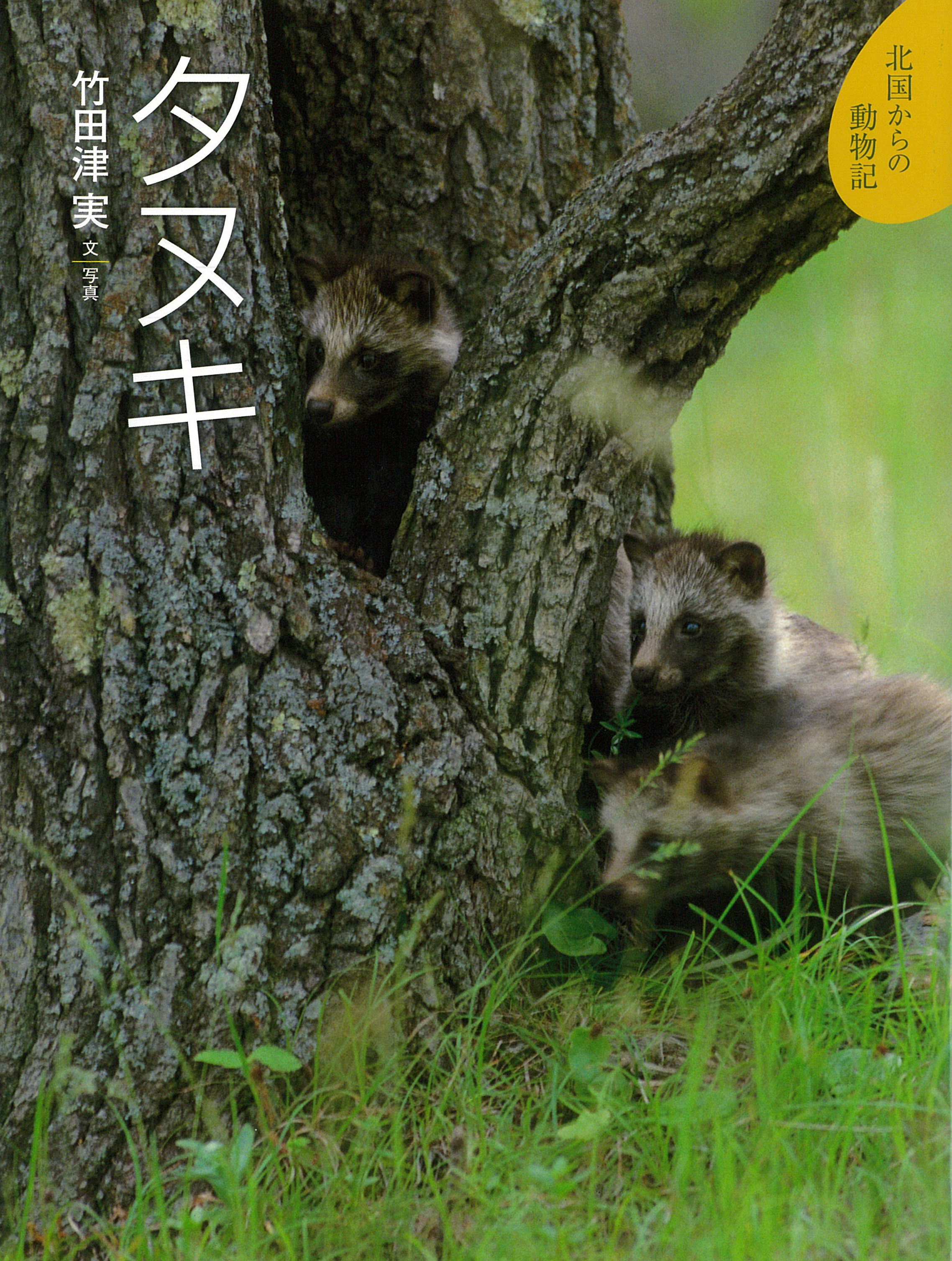 タヌキ ｜ アリス館