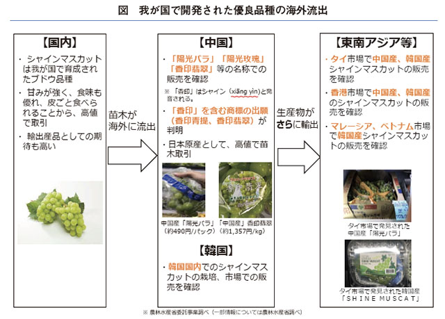 種苗法改正の概要｜農畜産業振興機構