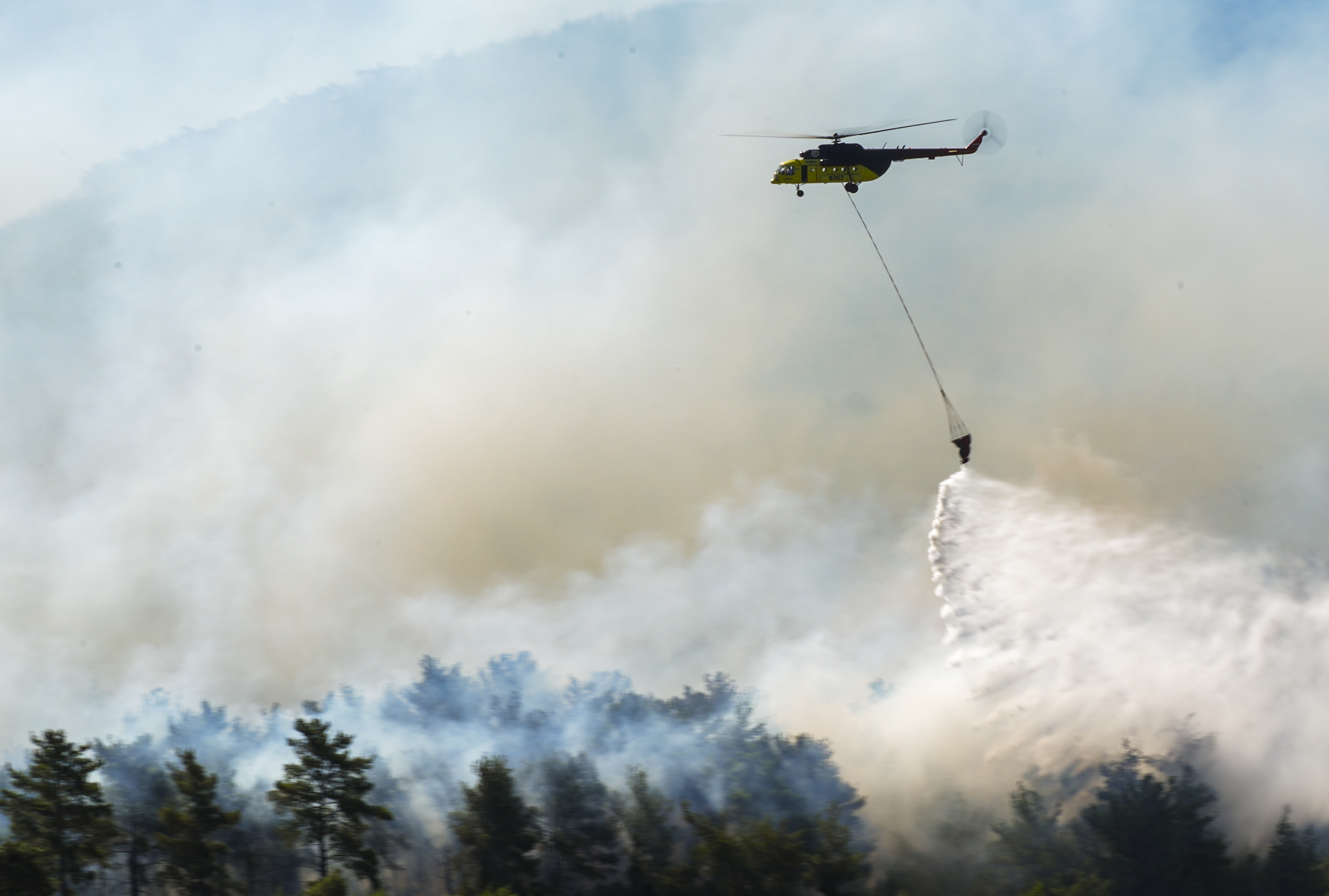 Wildfires fanned by strong winds scorch Turkiye's Izmir | Wildlife