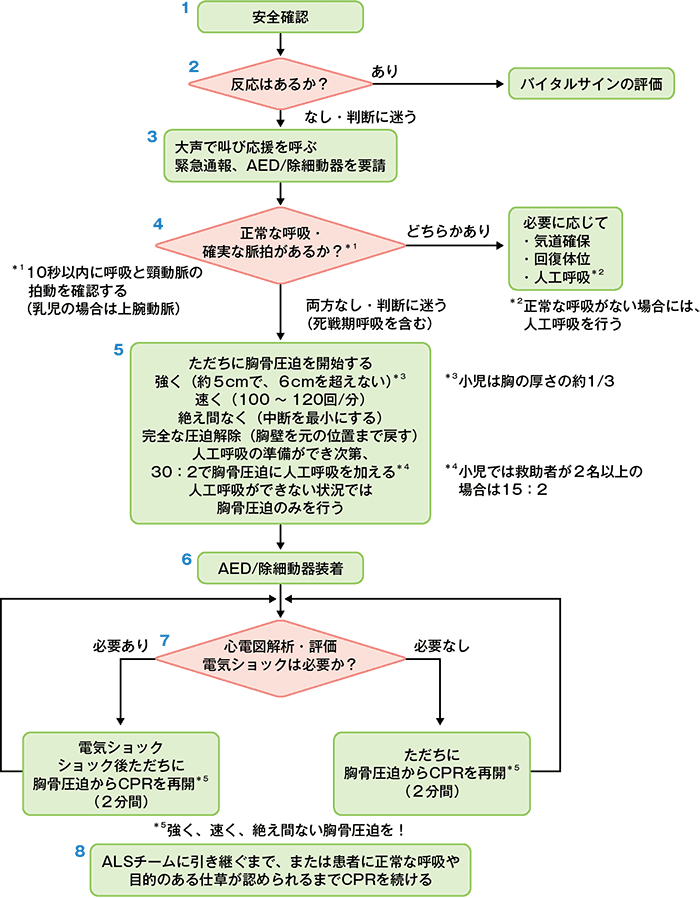 急変対応の基本BLS（一次救命処置）のアルゴリズム｜看護師、医療従事
