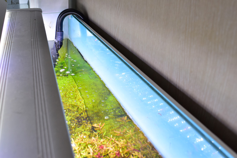 明るく綺麗なバックスクリーン「esAqua ライトスクリーン」レビュー