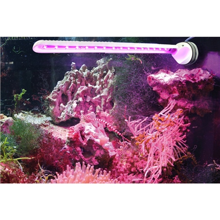 Tunze Eco Chic Refugium LED 8831 aquaticsrevolution.com