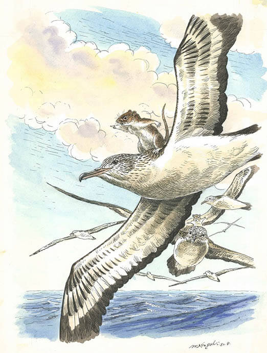 動物画家 藪内正幸絵本原画展 | 宇城市不知火美術館 | 美術館・展覧会