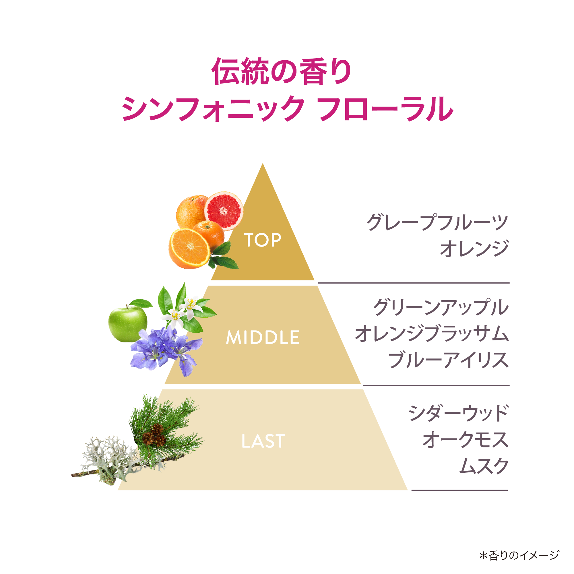 アーティストリー ロンジェビティ™ クリーム | アーティストリー
