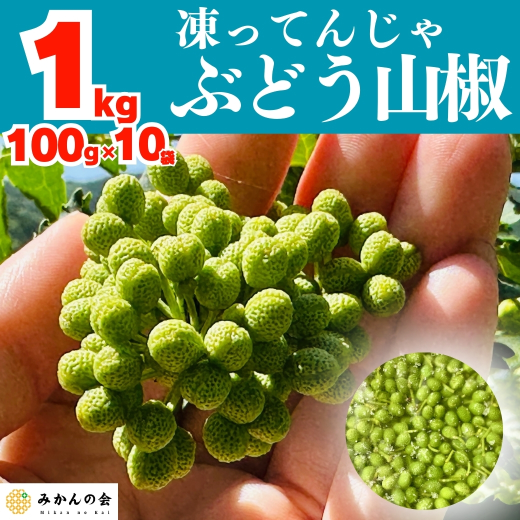 国産 山椒の実 通販 冷凍山椒 1kg 生山椒 ぶどう山椒 実山椒 産地直送