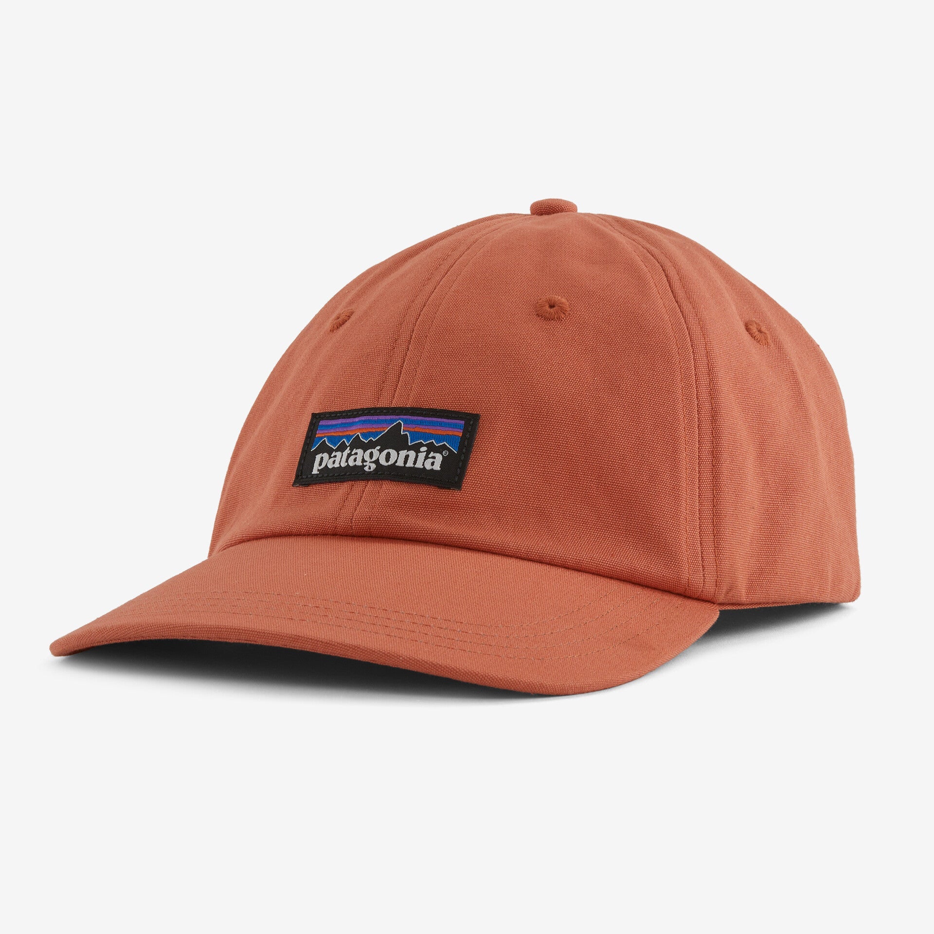 Patagonia P-6 Label Trad Cap - 2025 – Arlberg Ski & Surf