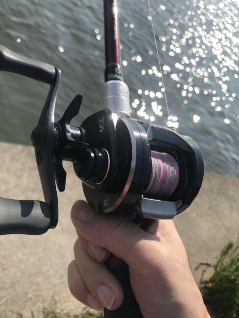 ダイワ・18リョウガ1520でベイトシーバスをやってみた感想 - 続・荒川