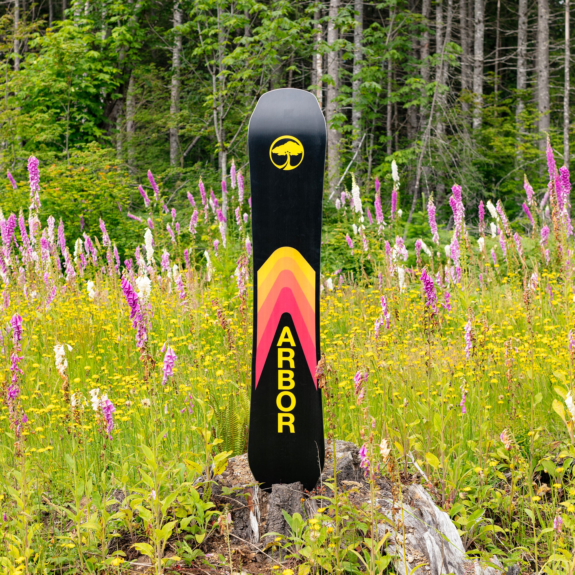 Arbor Snowboards - Shiloh Rocker – Arbor Collective
