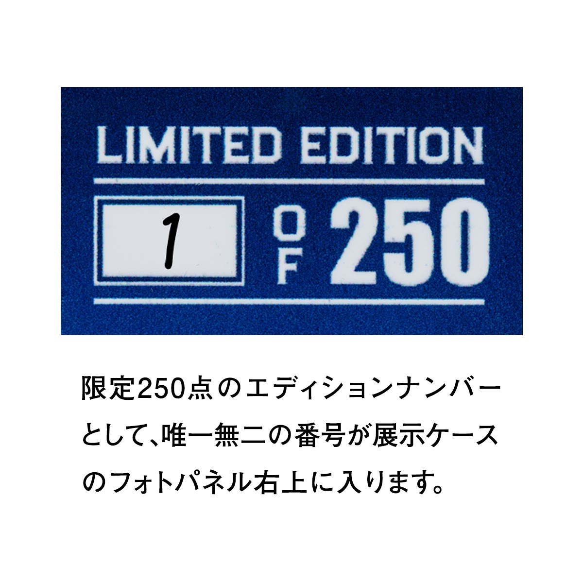 佐々木朗希投手のMLBデビューを記念！＜2025MLBデビュー記念 佐々木朗