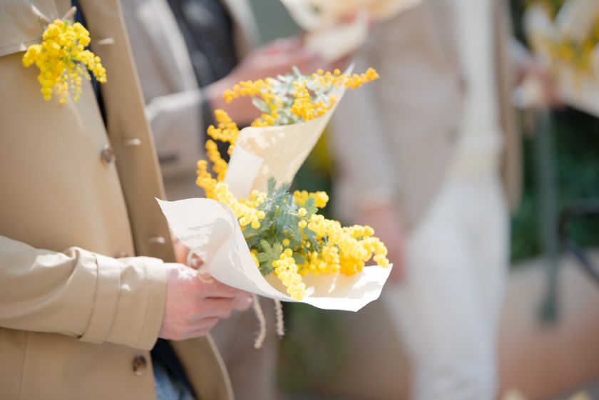 MIMOSA FESTA 2023』2月10日(金)～3月12日(日)開催 川島海荷さんを