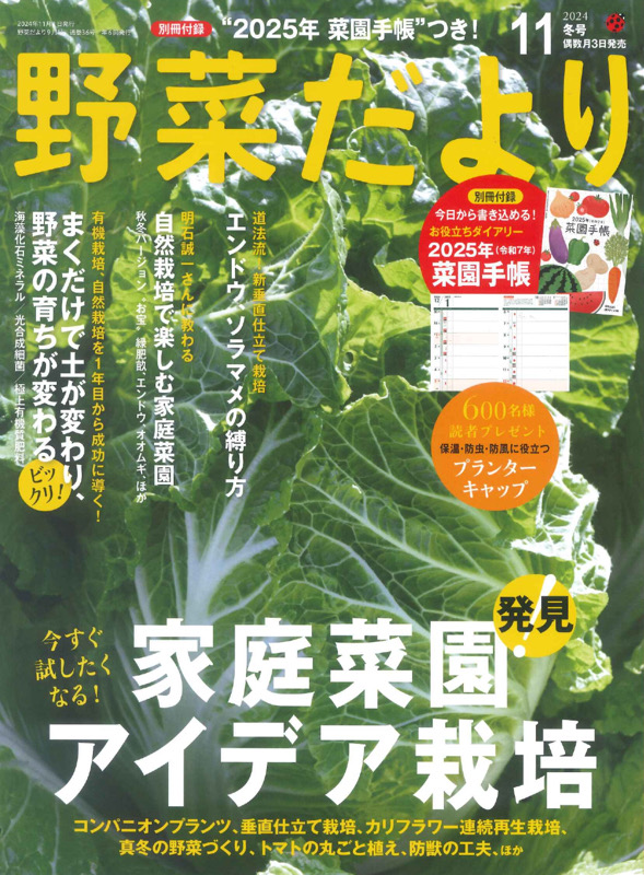 野菜だより2024年11月冬号 | 本の情報 | ブティック社