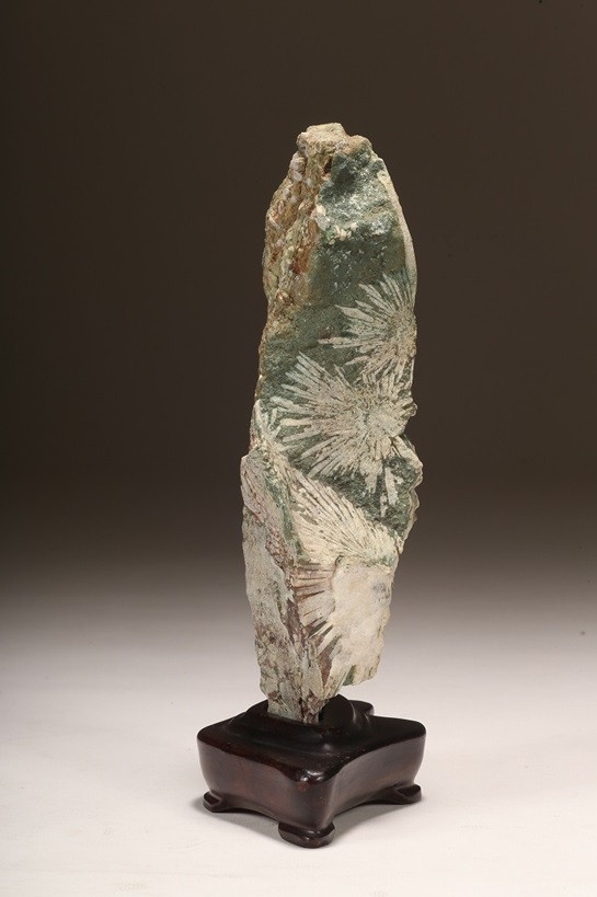 下仁田菊花石 銘「華美」 | 雨竹亭オンラインショップ