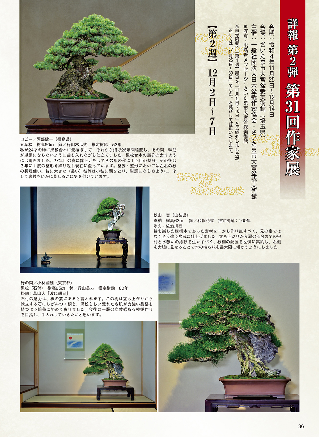 月刊「近代盆栽」2023年3月号 | 盆栽、盆栽書籍、盆栽鉢の通販│近代出版
