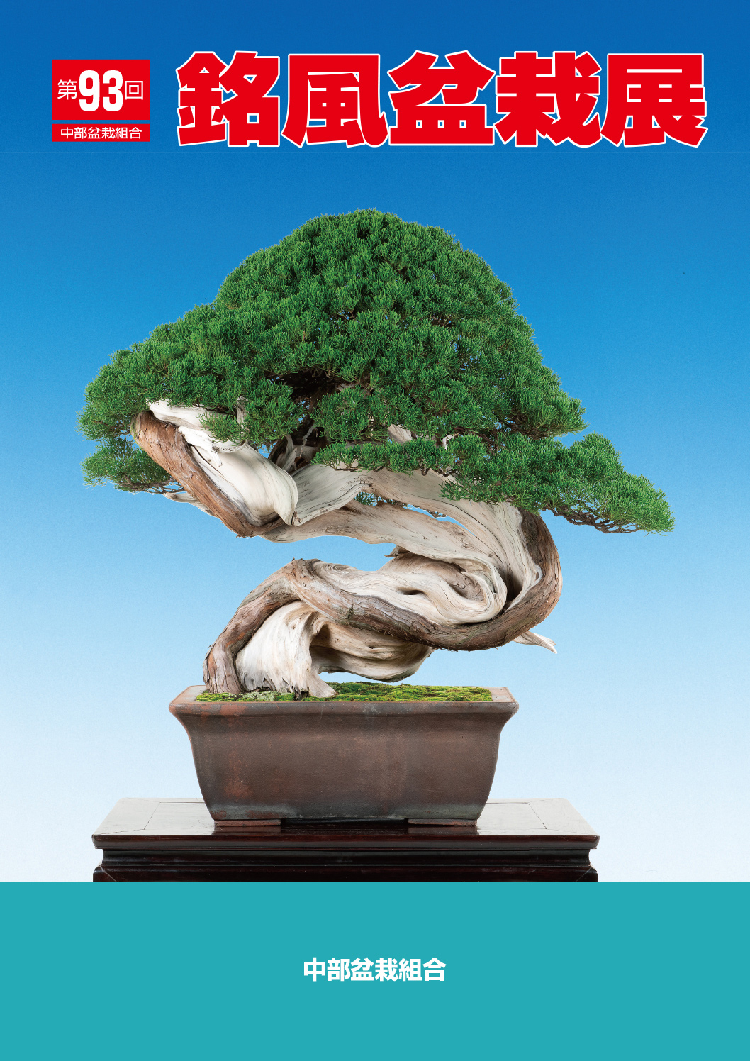 写真集・記念帳 | 盆栽、盆栽書籍、盆栽鉢の通販│近代出版