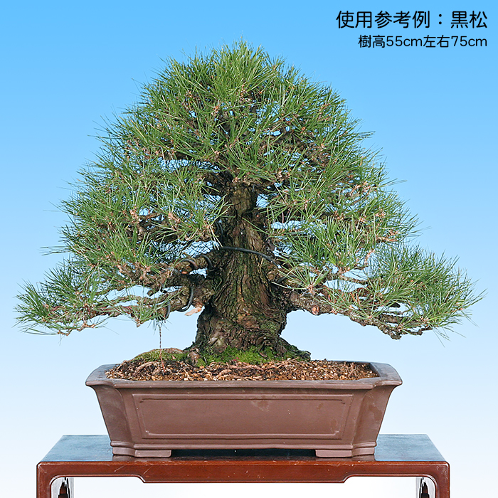 中国宜興 六角鉢 紫砂の鉢 盆栽鉢 植木鉢 小品盆栽鉢 大品盆栽鉢 六角