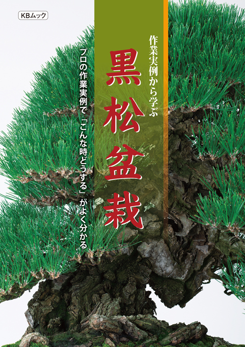 盆栽メジャー樹種 黒松・五葉松・真柏をとことん知る3冊セット | 盆栽