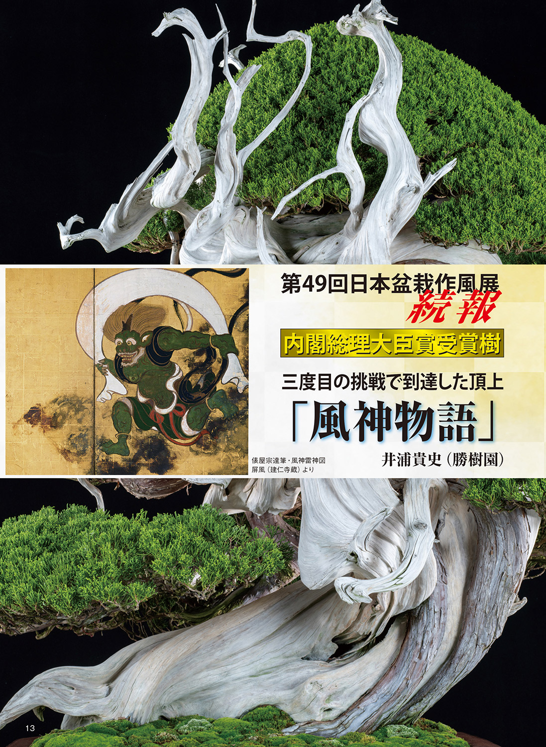 月刊「近代盆栽」2024年1月号 | 盆栽、盆栽書籍、盆栽鉢の通販│近代出版