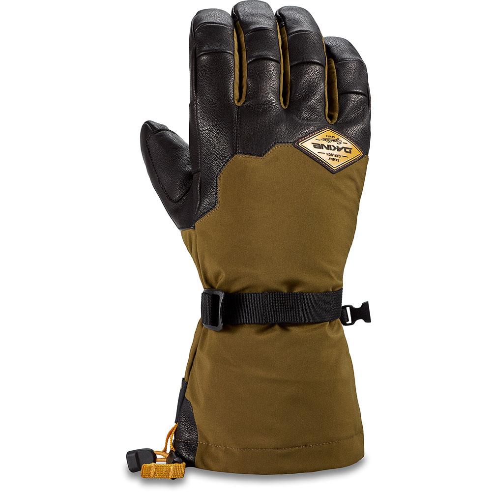 Dakine Team Phoenix Gore-Tex Gloves Men's