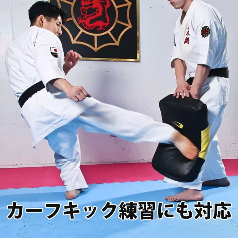 TWINS ボディーミット キック打撃練習 格闘技 TWINSボディーミット