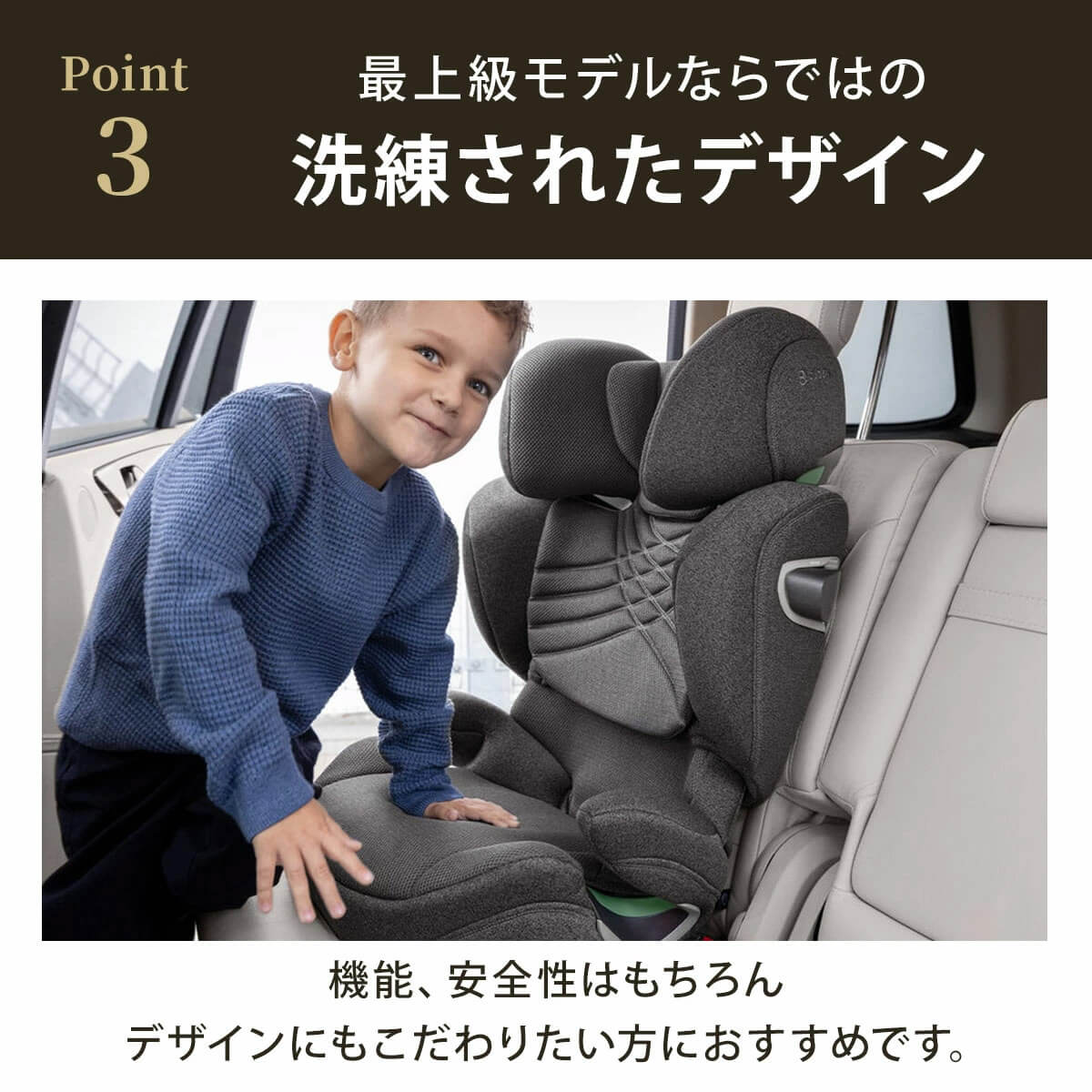 サイベックス ソリューションT アイフィックス セピアブラックプラス