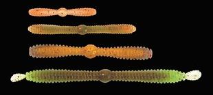 Megabass/メガバス キャッツキルワーム/4.5inch - 【バス・トラウト