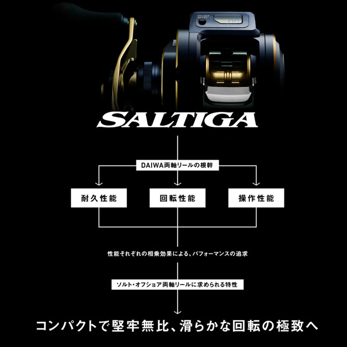 ダイワ 21 ソルティガ IC 300/300L DAIWA - 【バス・トラウト・ソルト