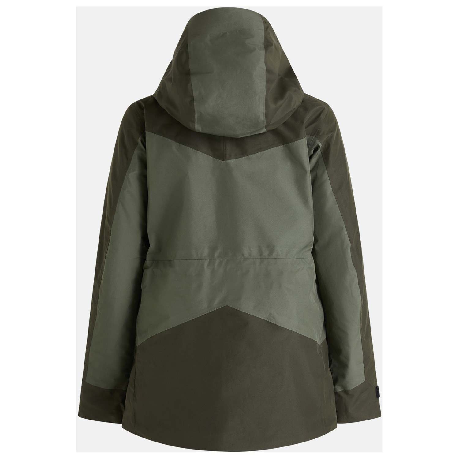 Peak Performance Gravity 2L GORE-TEX Jacket - Ski jacket Women's