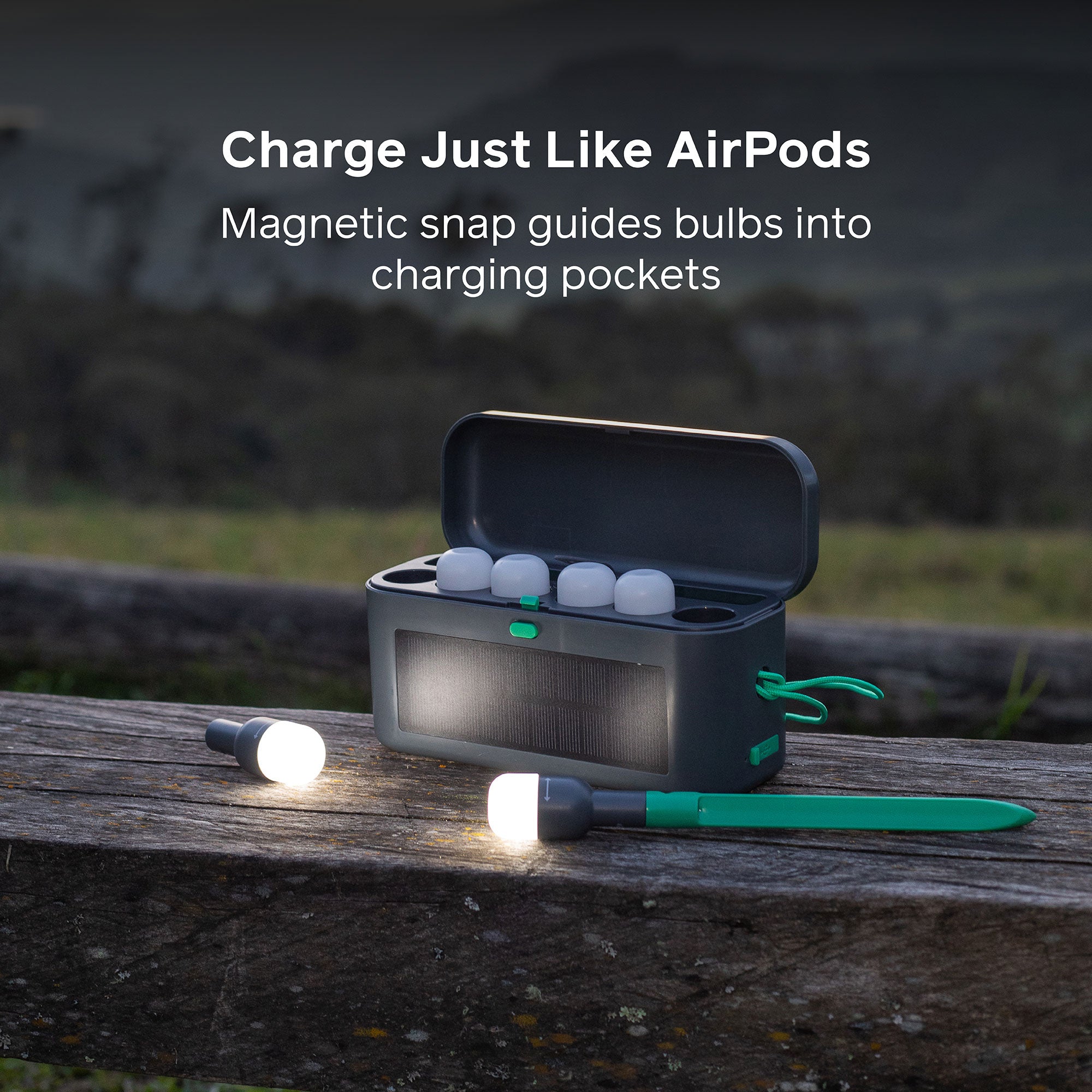 Site Lights - Solar Stake or String Lights – BioLite