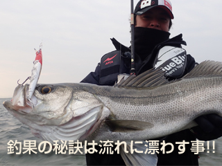 ブローウィン！140S | ブローウィン | ルアー | 製品 | BlueBlue