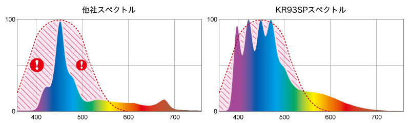 バイタルウェーブ/VitalWave｜ブルーハーバー