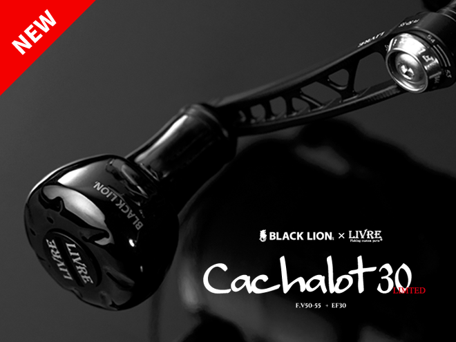 Cachalot 30 | BLACKLION(ブラックライオン)公式サイト | エギング