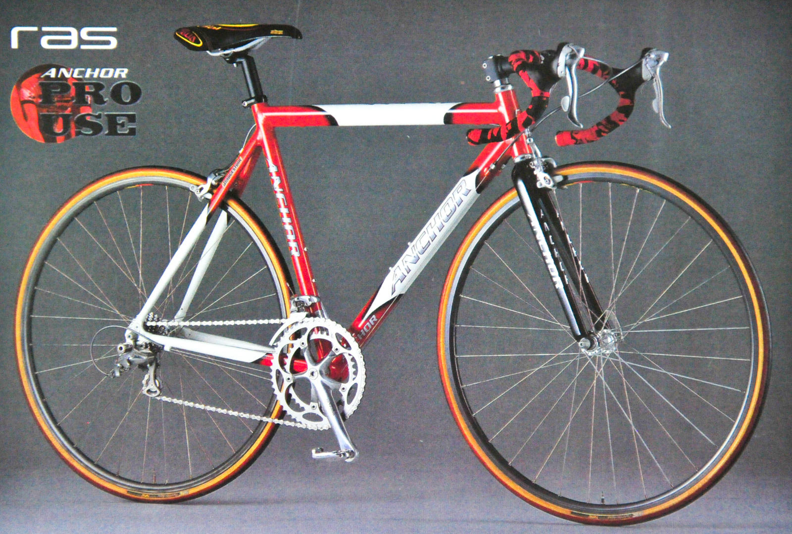 2001 ROAD / RAS - TEAM BRIDGESTONE Cycling