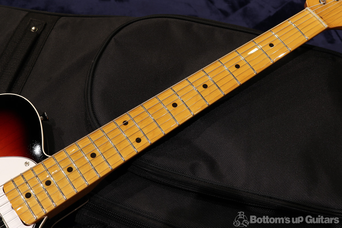 Provision Guitar / プロビジョンギター B.U.G.15th Anniversary Shop