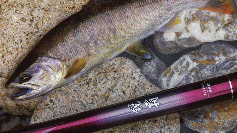 ダイワ エキスパート ゼロ ヤマメ アマゴ ニジマス 渓流竿 本流竿