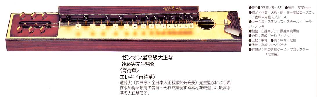 大正琴の販売～ゼンオン（全音）の高級大正琴【ガッキコム】