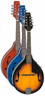 フラットマンドリン＆バンジョー（Frat Mandolins&Banjos）【ガッキコム】