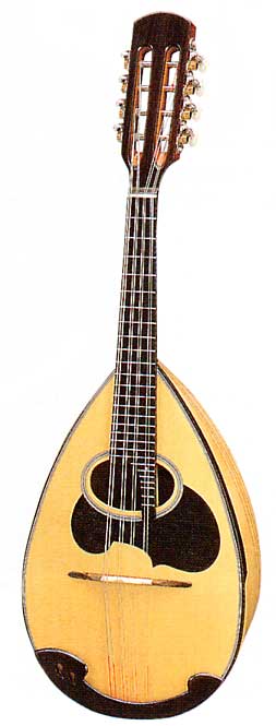 鈴木マンドリン、マンドラの販売～SUZUKI,ENA【ガッキコム】